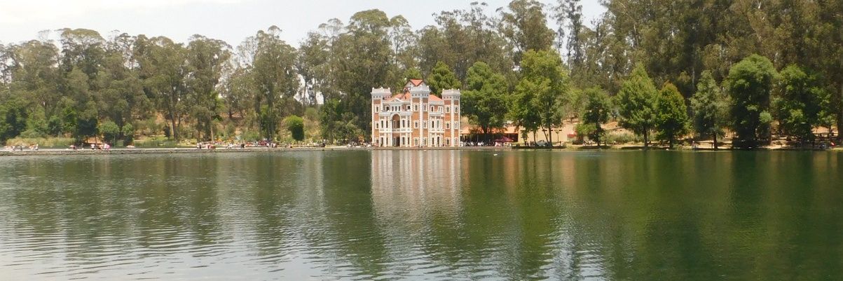 Angel Sanchez banner