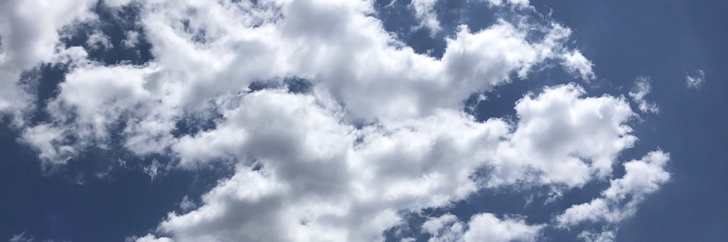 y_m1795's profile banner image