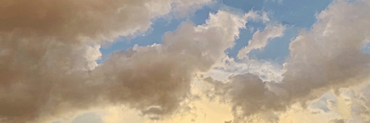 darkniela__'s profile banner image