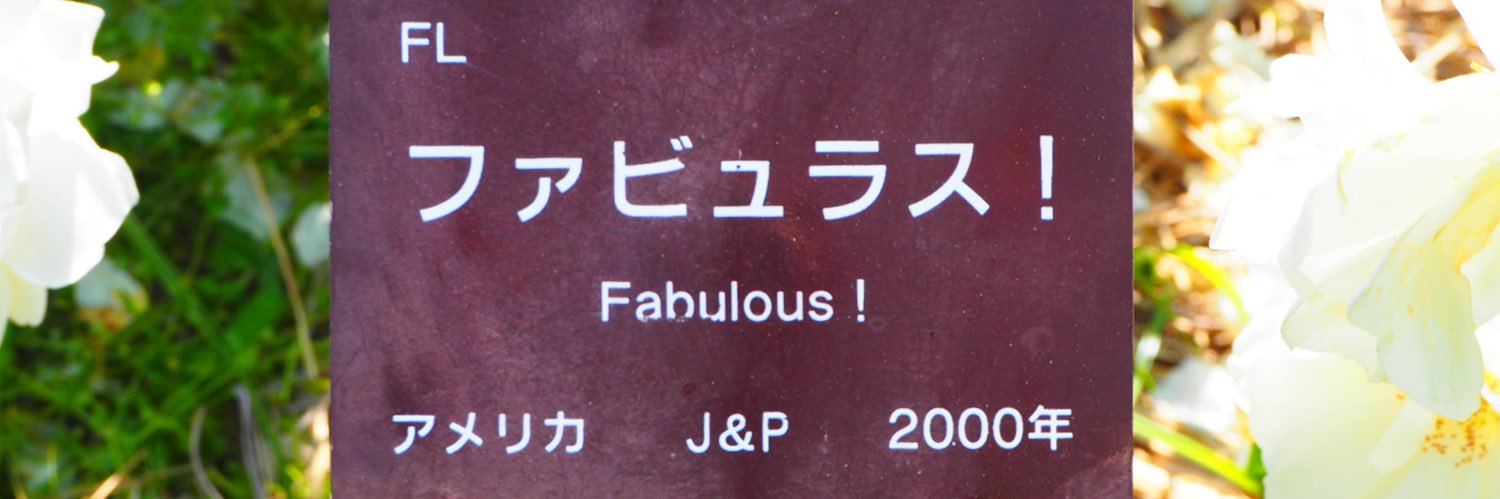_nemutahi's profile banner image