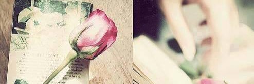asqxa121's profile banner image