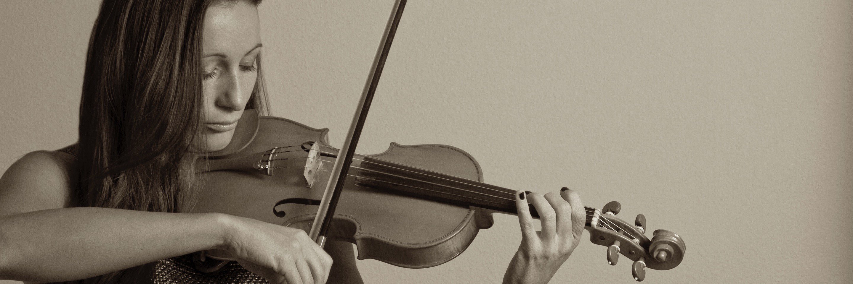 StringExpert's profile banner image