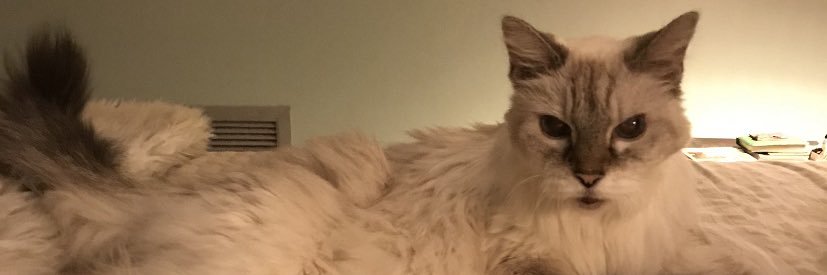 VicJax10's profile banner image