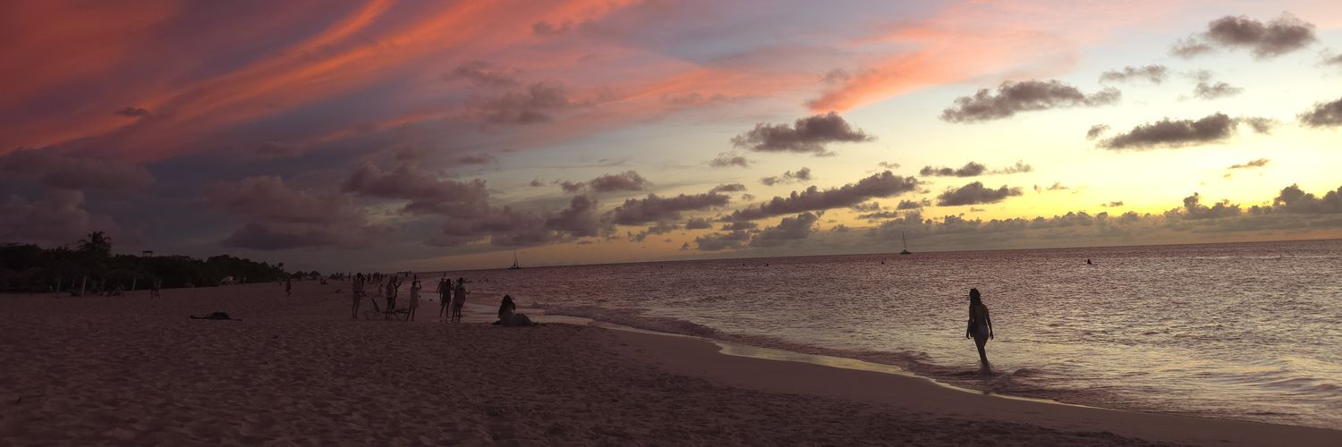TorySweeney's profile banner image