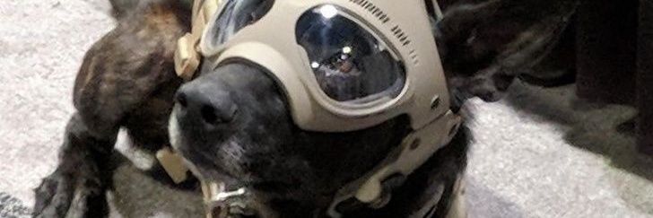 DavidRo2112's profile banner image