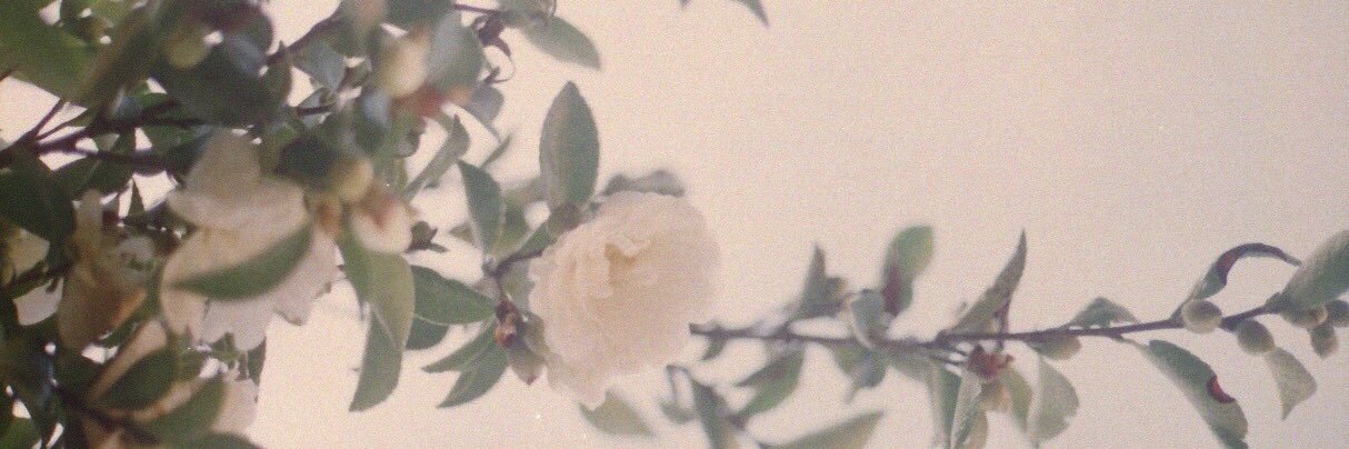 frizo__'s profile banner image
