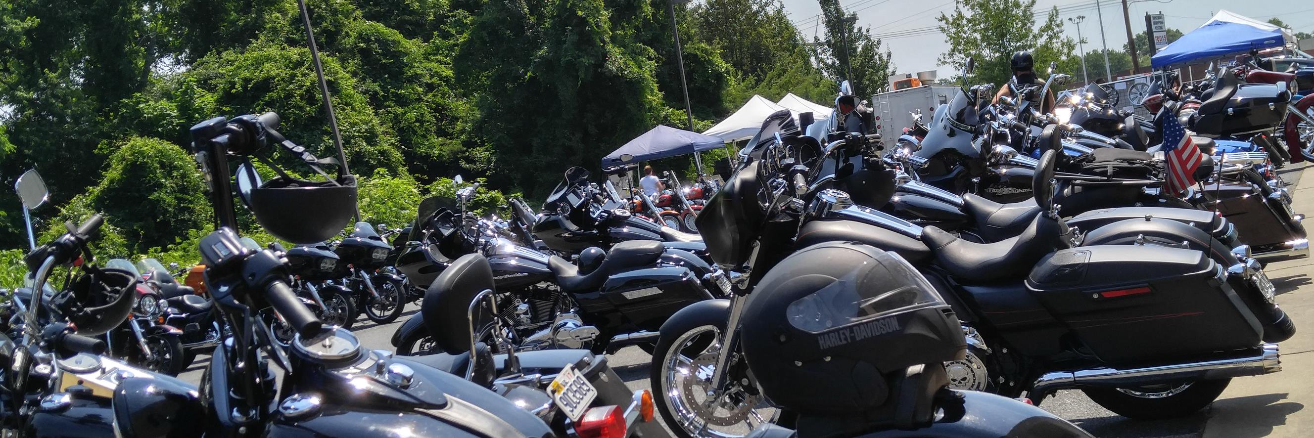 HarleyQuantico's profile banner image