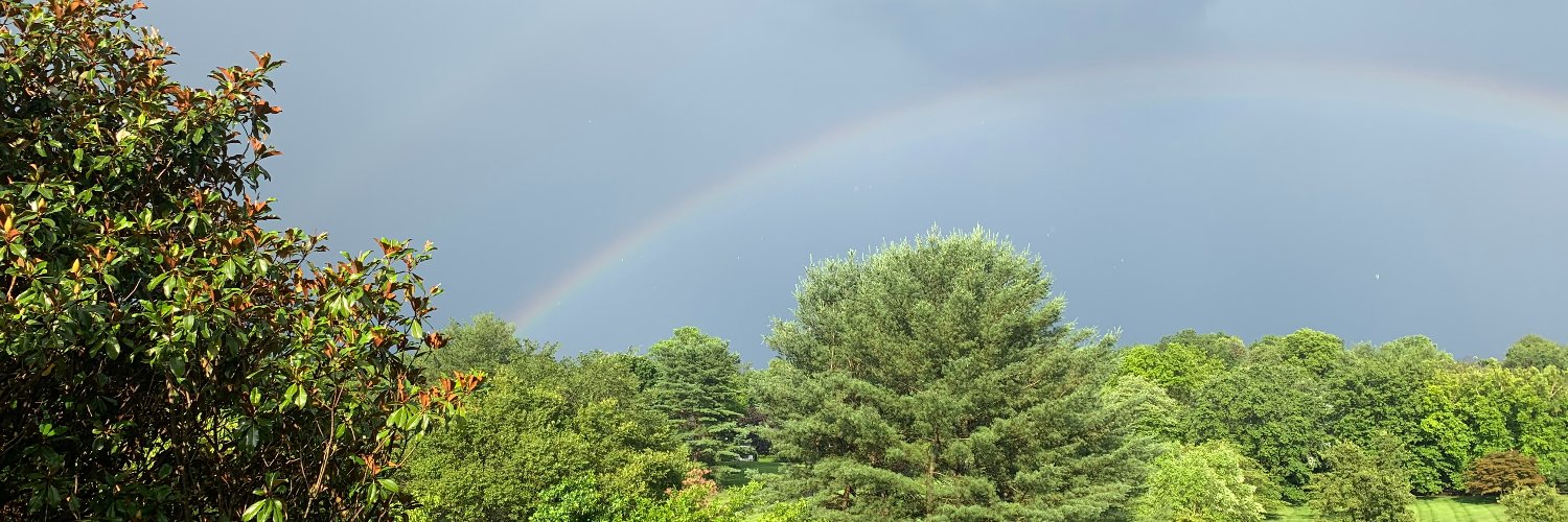 LindseyHoggle's profile banner image