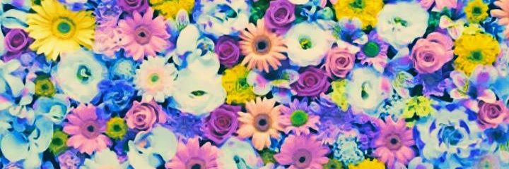 mimimi292941's profile banner image