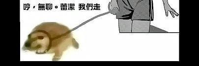xiaoggouu's profile banner image
