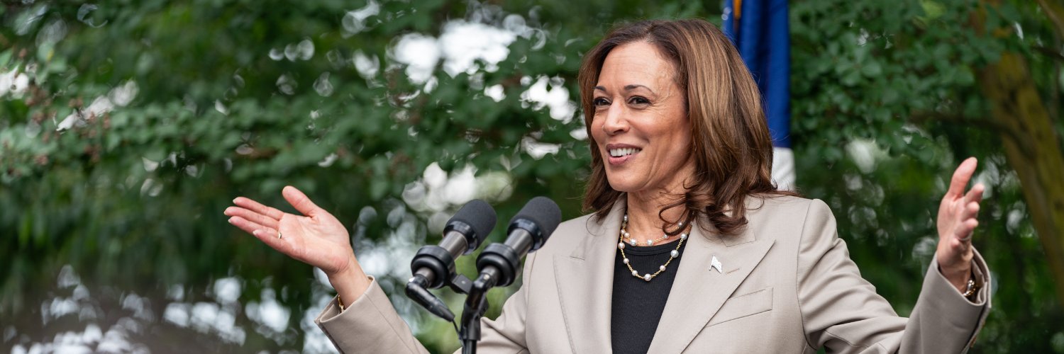 No to Fascism & Racism - Vote Blue 2024 banner