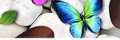 princess12513's profile banner image