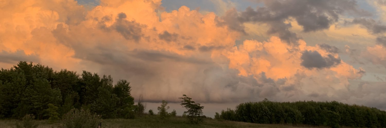 Melissa Dent @emcedy.bsky.social banner