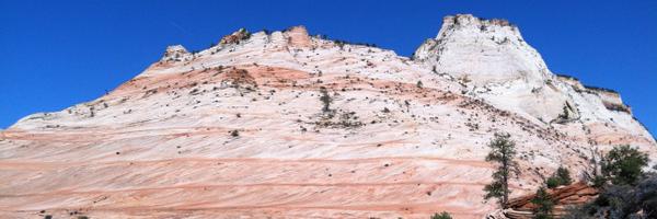 hufbauer Profile Banner