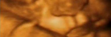 noeliaRpez's profile banner image
