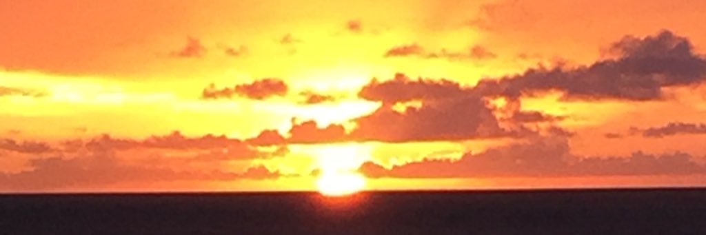AnneAlbritton's profile banner image