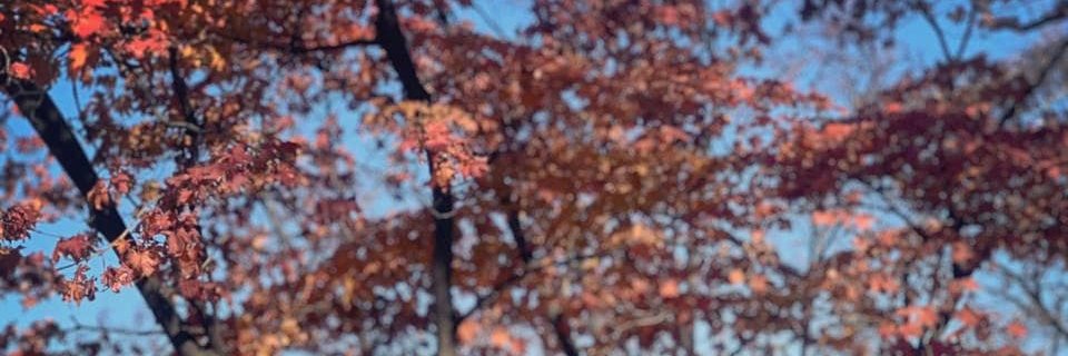 Kohn_Ted's profile banner image