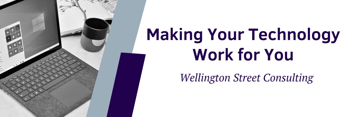 Wellington Street Consulting banner