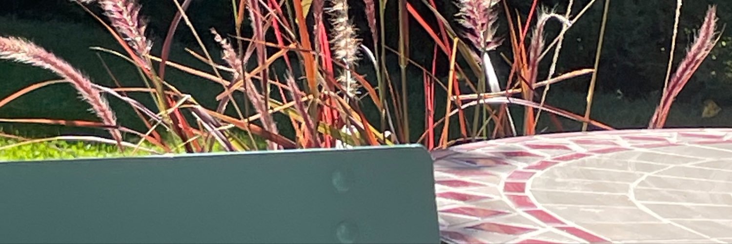 ChMeggle's profile banner image