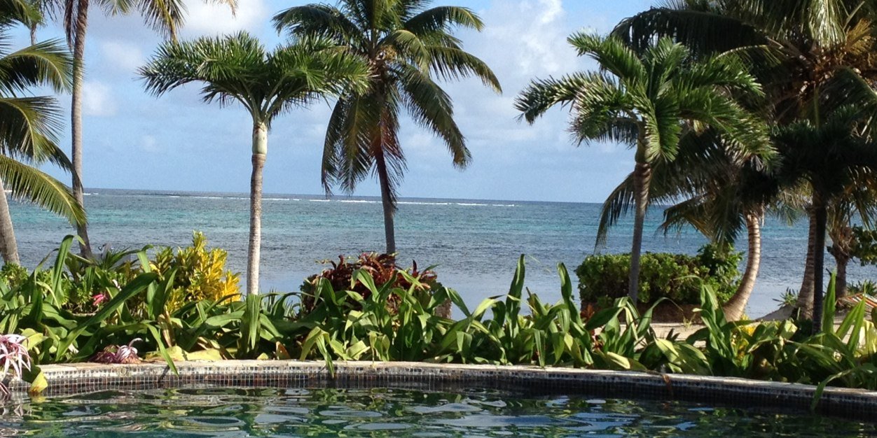 michele mclendon banner