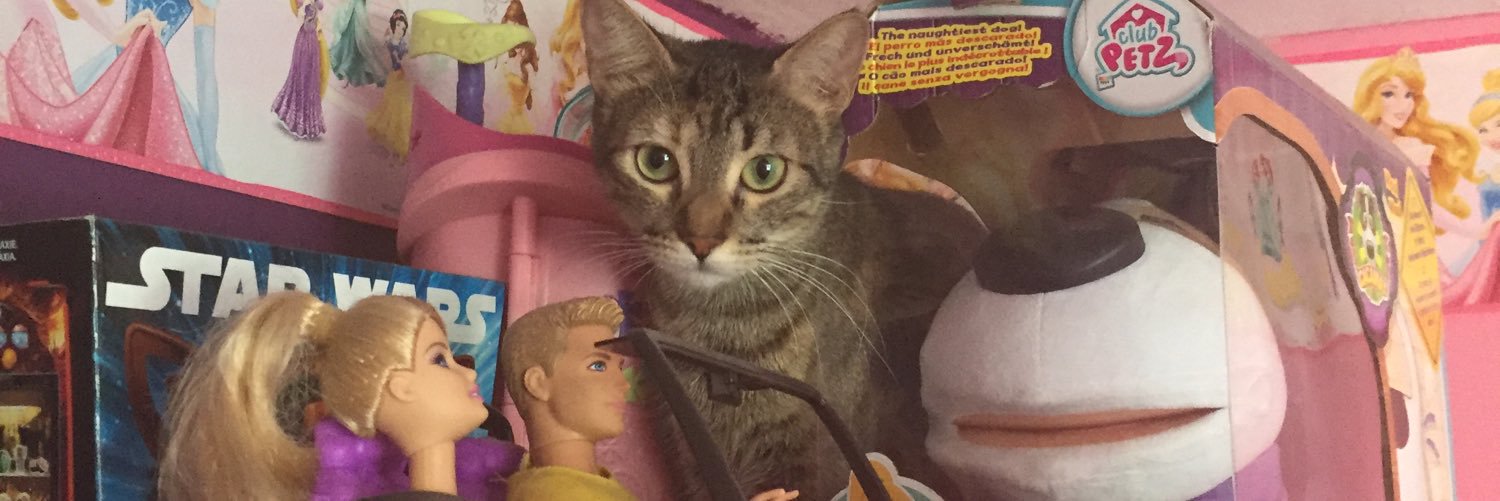 verito2604's profile banner image