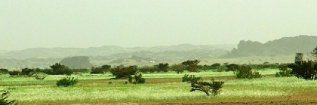 3Z_IIZ's profile banner image