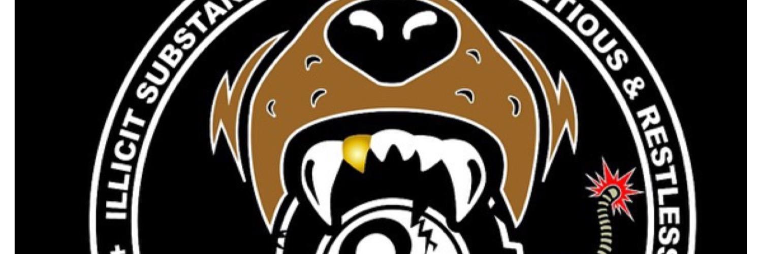 HarpHellaTatted's profile banner image