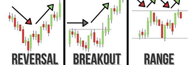 Traderseeds's profile banner image