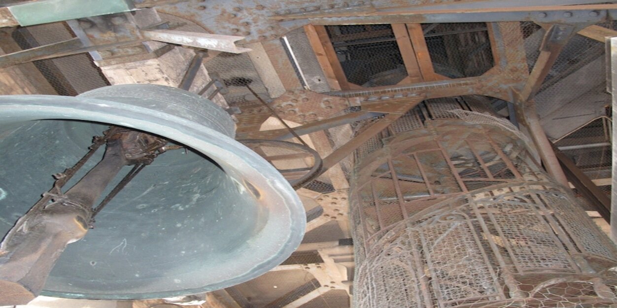 Roberta Degnore banner