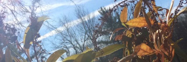 AlexisWojtonek's profile banner image