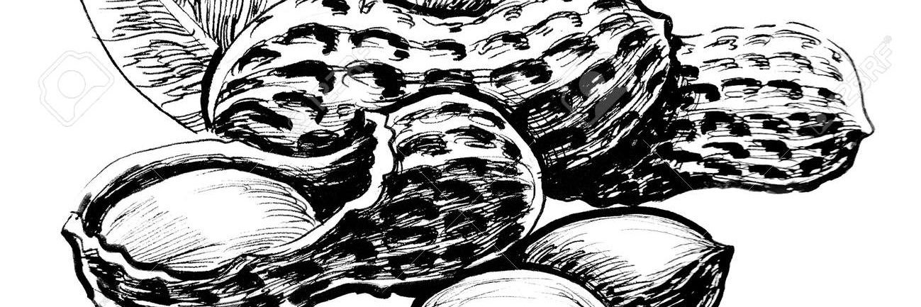 PeeNuutts's profile banner image