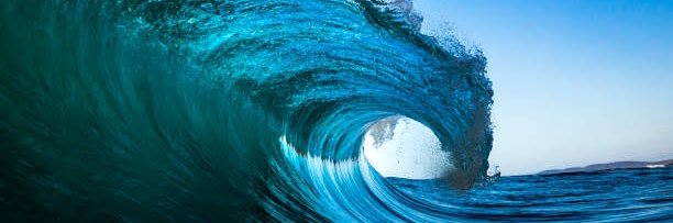 Matt W - Webster 🌊 banner