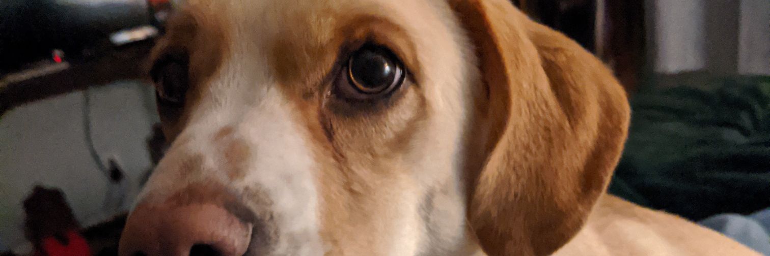 Cole1979's profile banner image