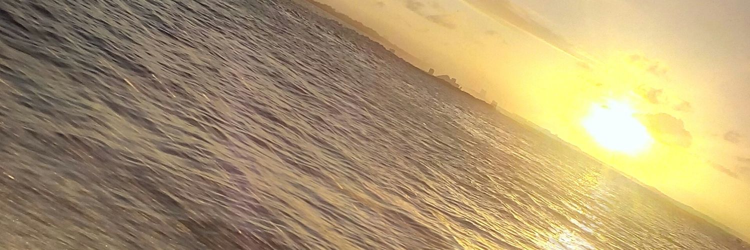 vikingoerick's profile banner image