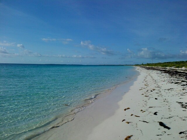 mark holowesko banner