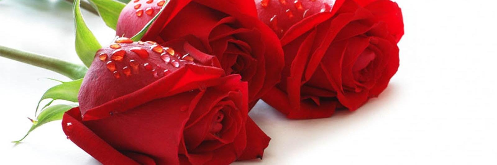 ismaildemirci55's profile banner image