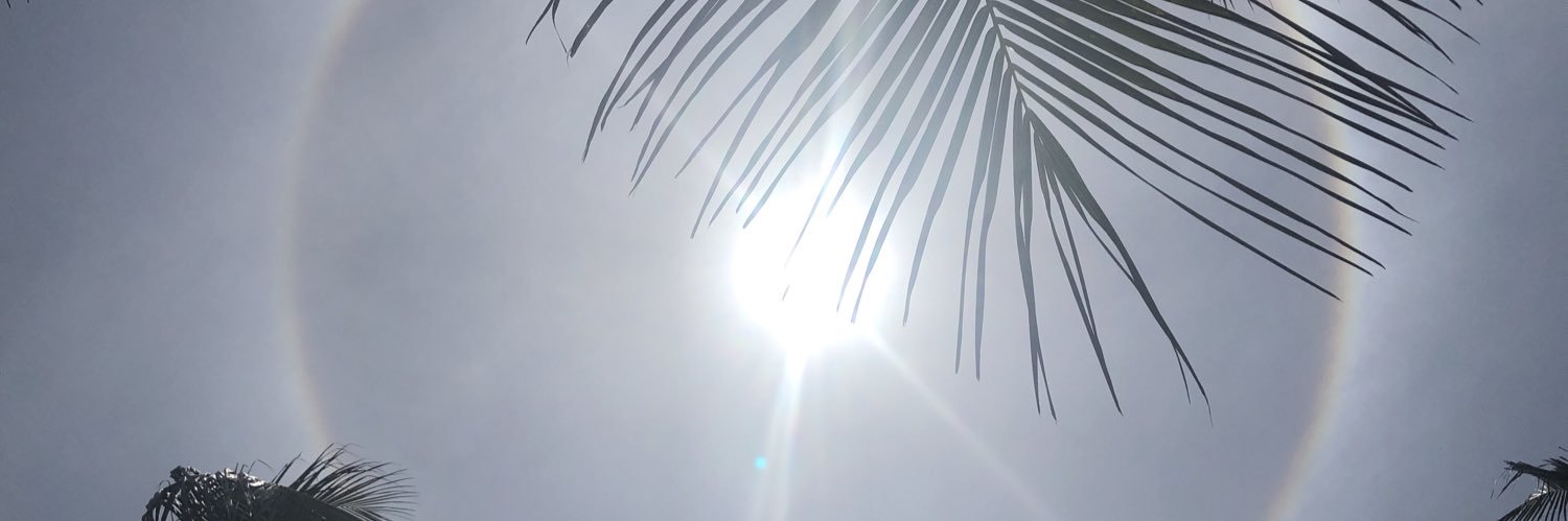peter verdonk banner