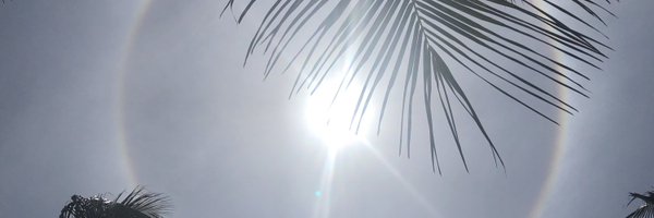 Profverdonk Profile Banner