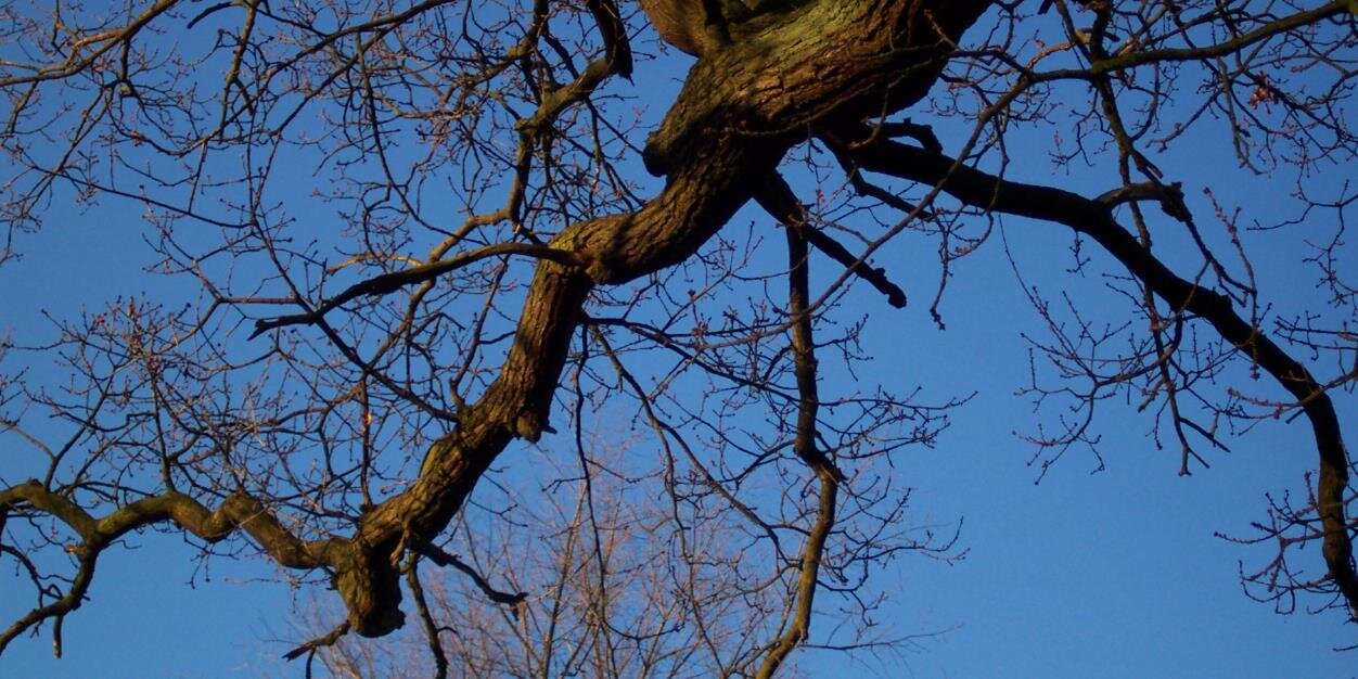 sam_barford's profile banner image