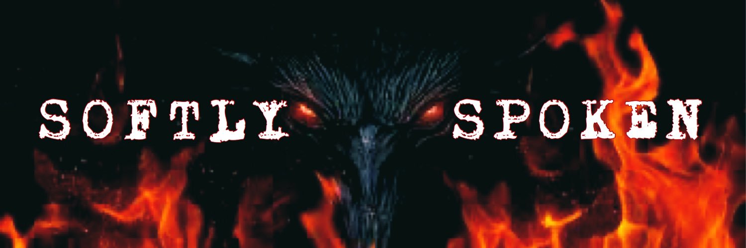 donBurjois's profile banner image