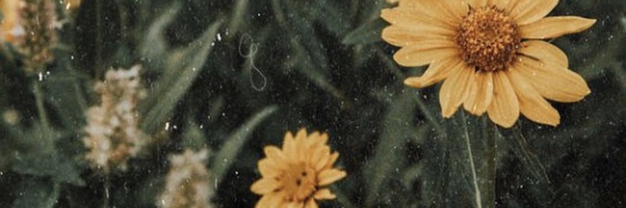 hooplahenington's profile banner image