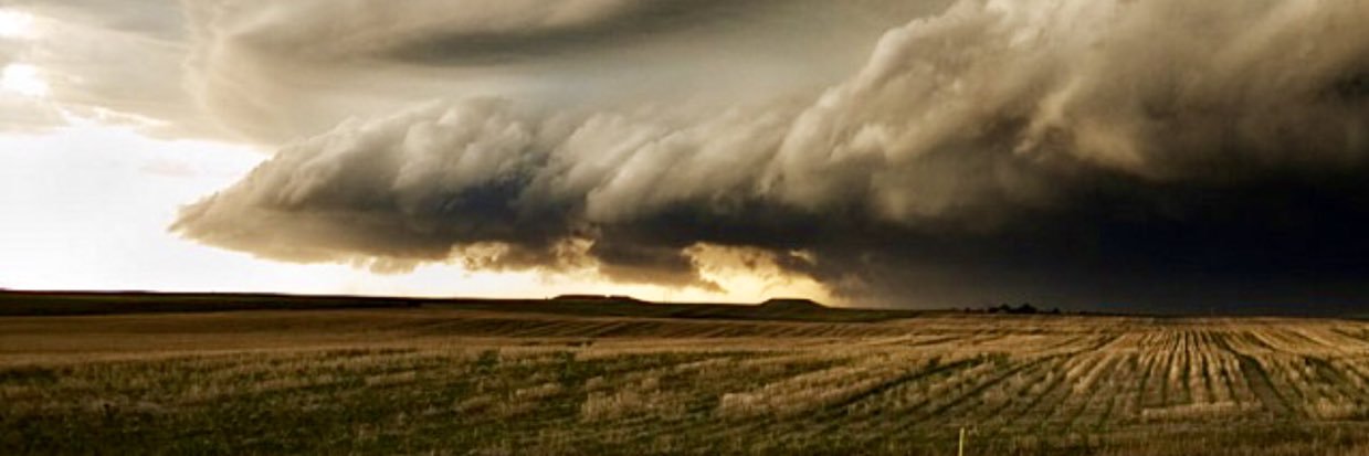 Phedeas Stephanides banner