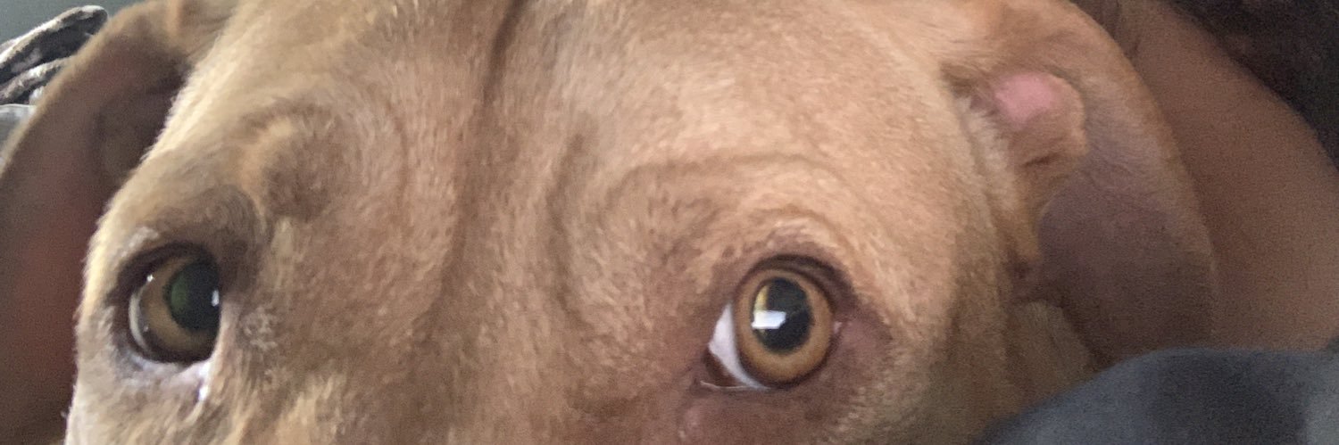 celesssxo's profile banner image