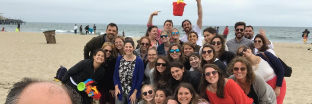 zelikowschool's profile banner image