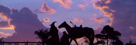 zehraa_ycl's profile banner image