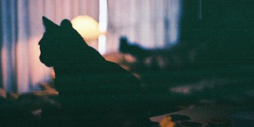 _SrtaGrey's profile banner image