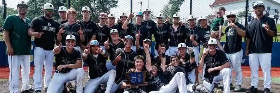 SPTigerBaseball banner