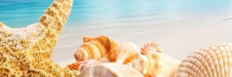 HayleyBlower22's profile banner image