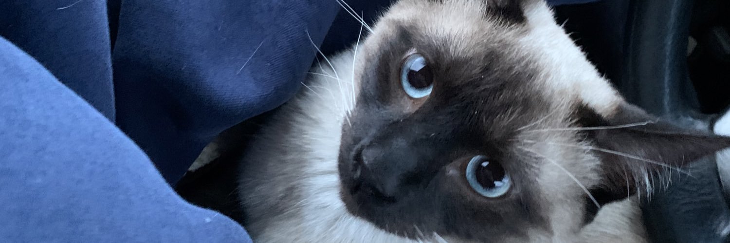 XLoveBrenda's profile banner image