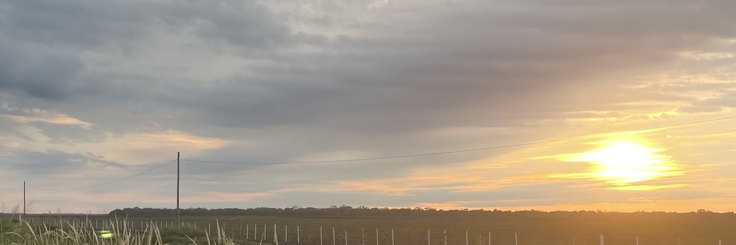 yamsraffault's profile banner image
